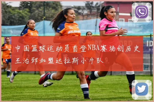 中国篮球运动员首登NBA赛场创历史王治郅加盟达拉斯小牛队