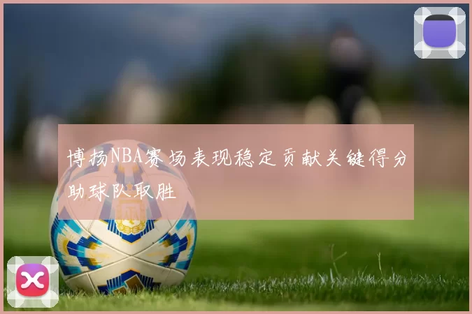 博扬NBA赛场表现稳定贡献关键得分助球队取胜