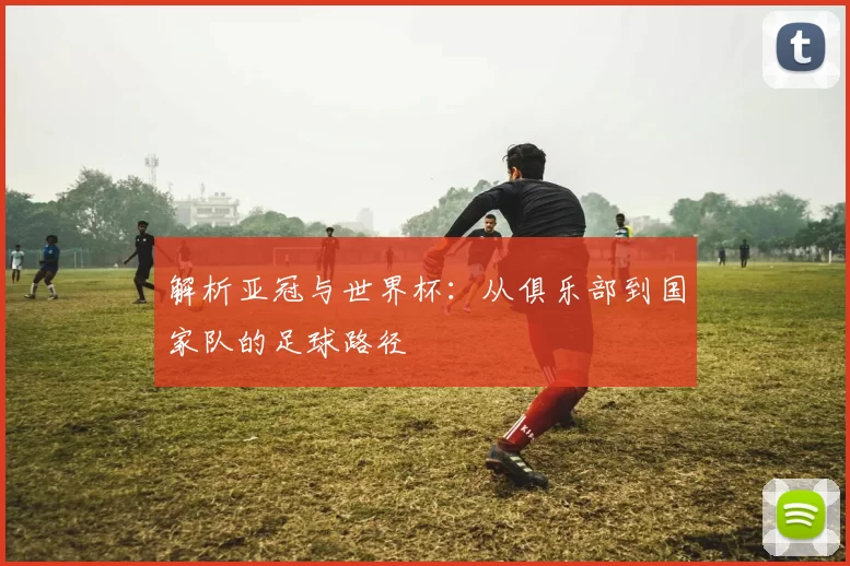 解析亚冠与世界杯:从俱乐部到国家队的足球路径