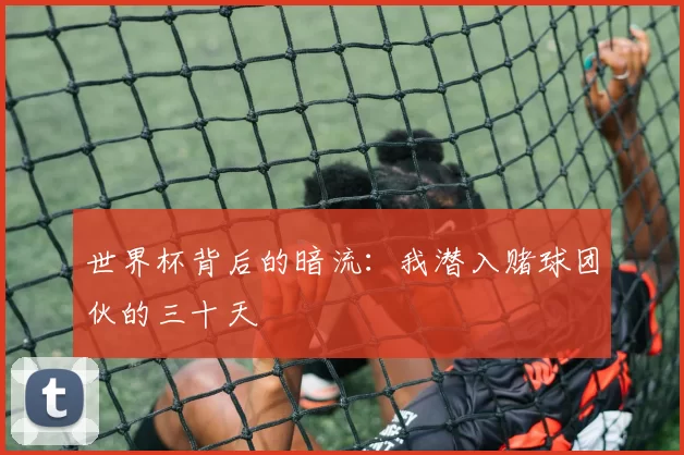 世界杯背后的暗流：我潜入赌球团伙的三十天