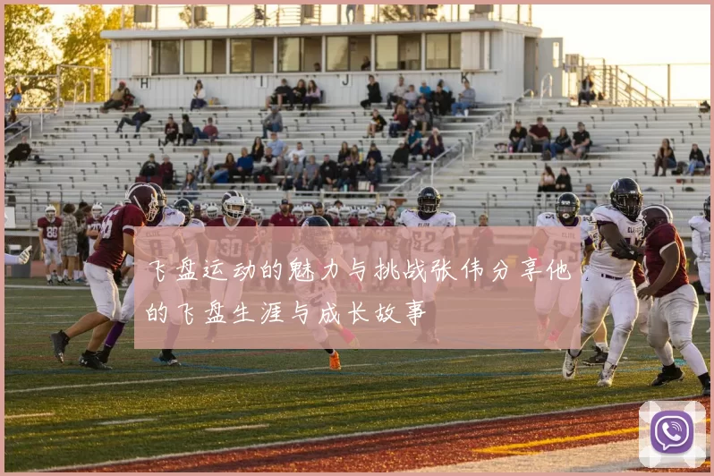 飞盘运动的魅力与挑战张伟分享他的飞盘生涯与成长故事