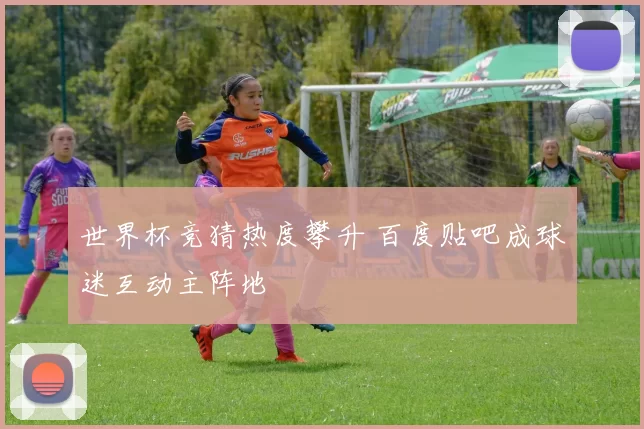 世界杯竞猜热度攀升 百度贴吧成球迷互动主阵地