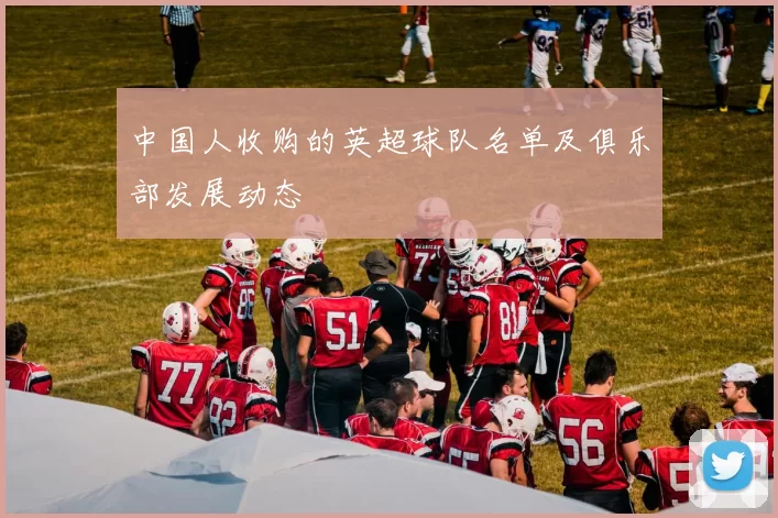 中国人收购的英超球队名单及俱乐部发展动态