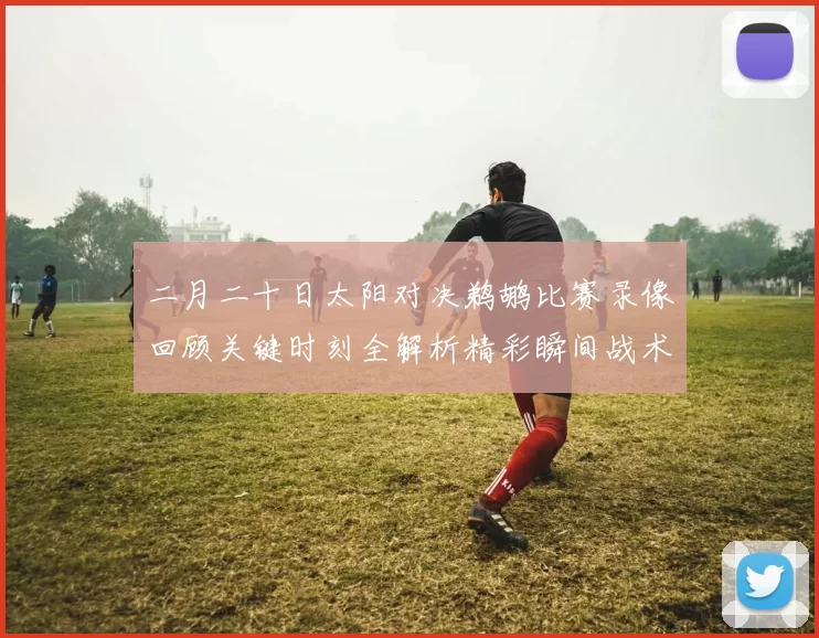 二月二十日太阳对决鹈鹕比赛录像回顾关键时刻全解析精彩瞬间战术博弈