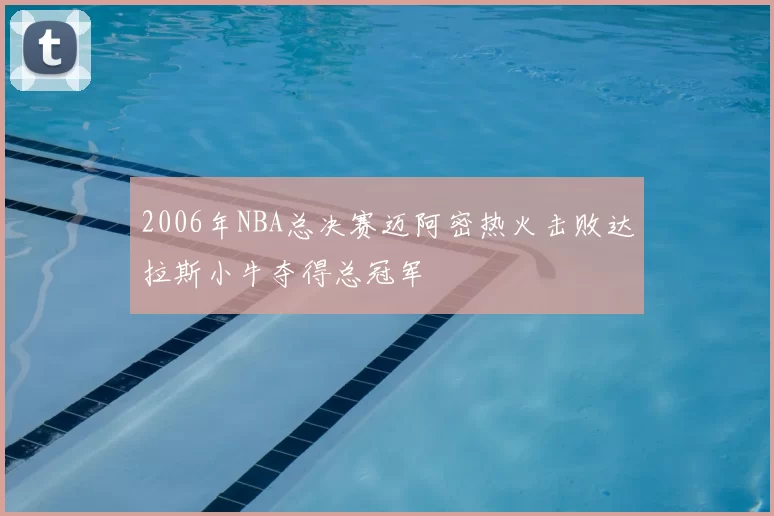 2006年NBA总决赛迈阿密热火击败达拉斯小牛夺得总冠军