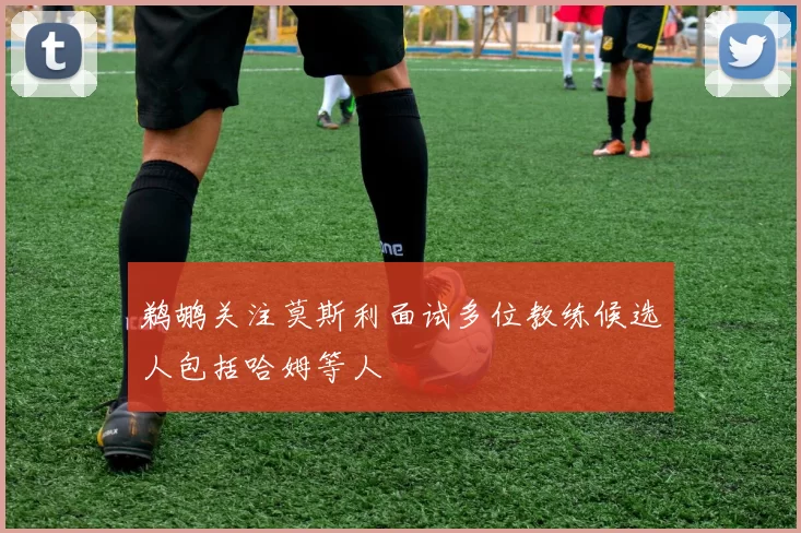 鹈鹕关注莫斯利面试多位教练候选人包括哈姆等人