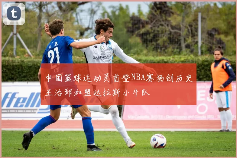 中国篮球运动员首登NBA赛场创历史王治郅加盟达拉斯小牛队