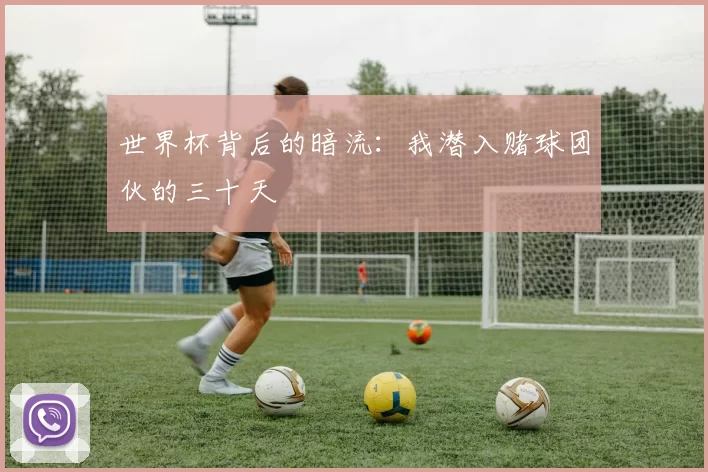 世界杯背后的暗流：我潜入赌球团伙的三十天