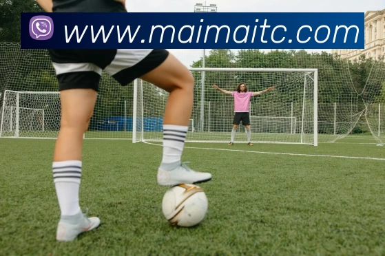 多媒体互动体验